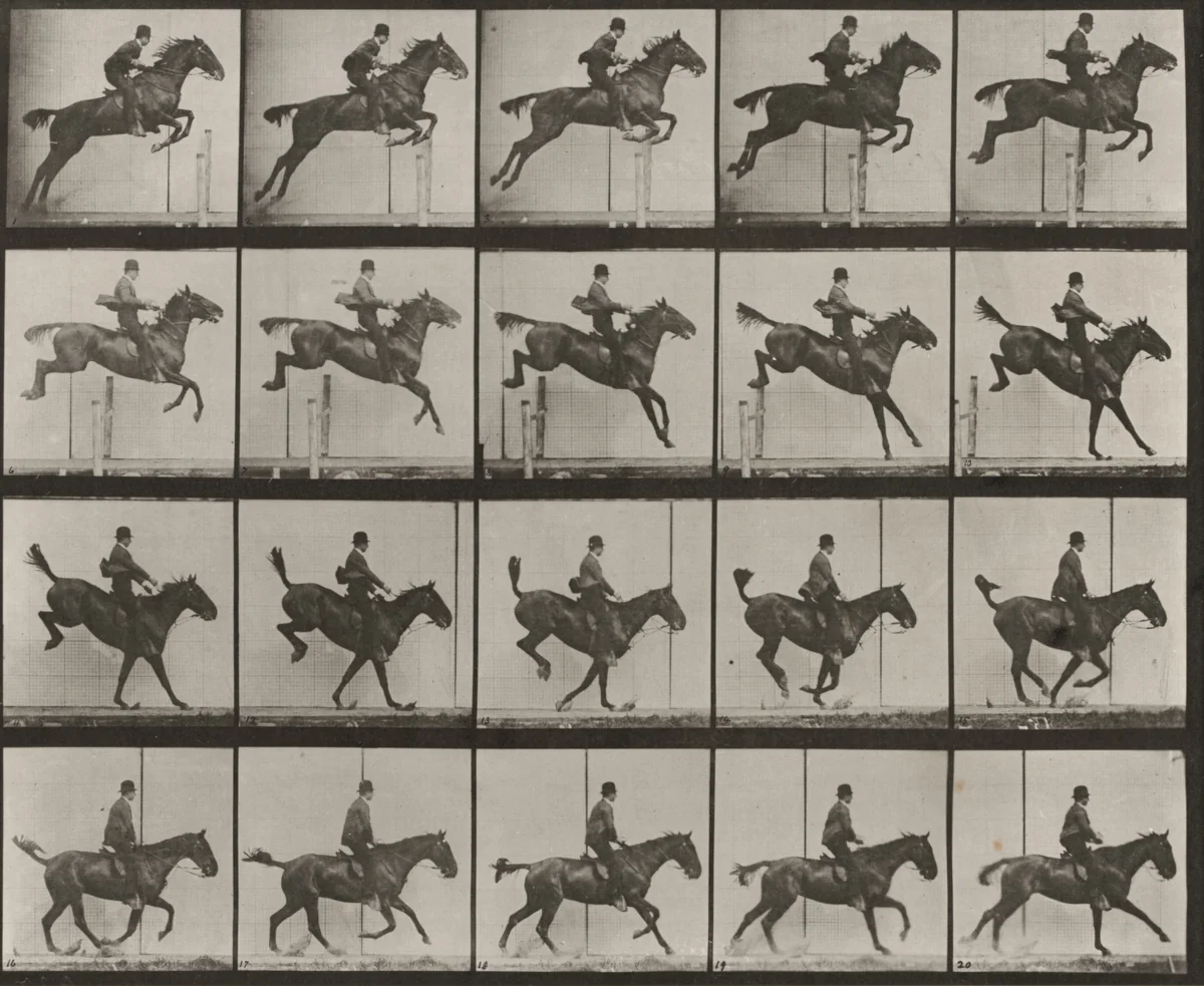 Plate Number 637. "Daisy" jumping a hurdle, saddled, clearing, landing and recovering by Eadweard Muybridge, photograph, 1887