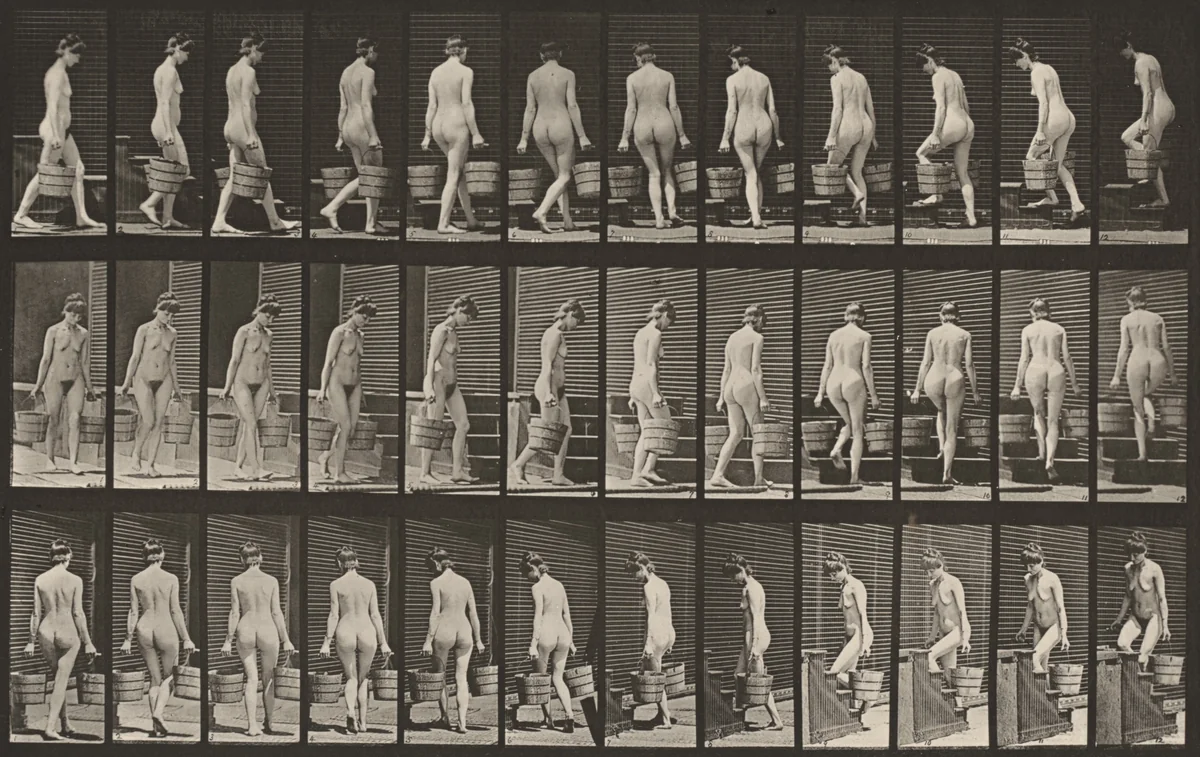 Plate Number 104. Turning and ascending stairs with a bucket of water in each hand by Eadweard Muybridge, photograph, 1887