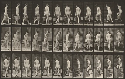 Plate Number 104. Turning and ascending stairs with a bucket of water in each hand by Eadweard Muybridge, photograph, 1887