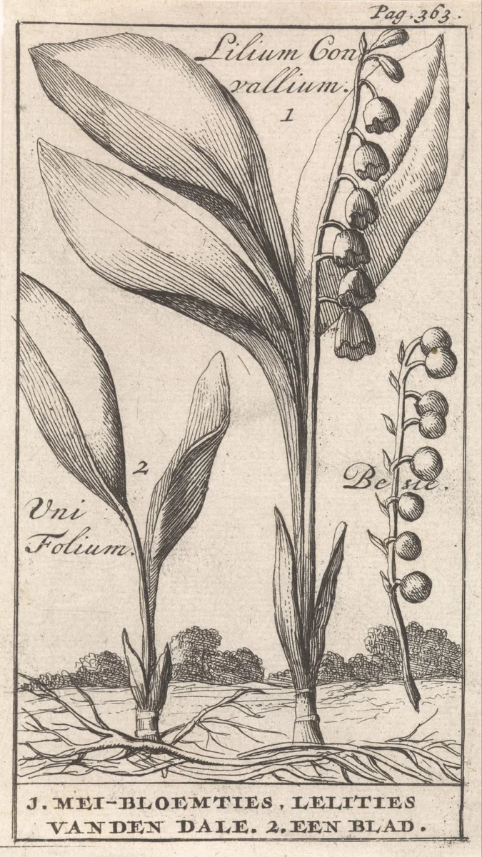 Titelpagina en acht prenten met bloemen by Caspar Luyken, print, 1698