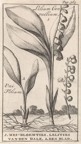 Titelpagina en acht prenten met bloemen by Caspar Luyken, print, 1698