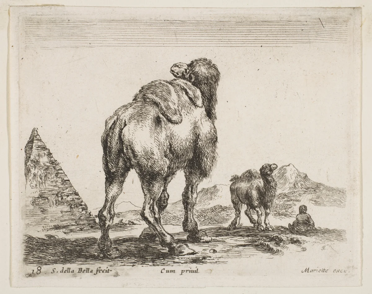 Camel viewed from behind with pyramid at left, plate 18 from "Various Animals" (Diversi Animali) by Stefano della Bella, print, 1636-1646
