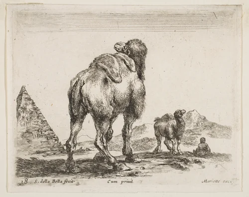 Camel viewed from behind with pyramid at left, plate 18 from "Various Animals" (Diversi Animali) by Stefano della Bella, print, 1636-1646