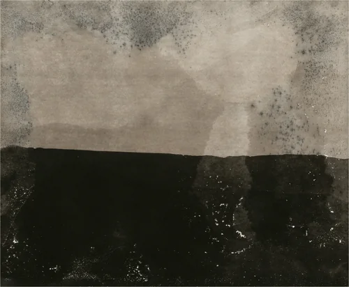 Eastman Kodak Azo Hard C Grade, expired November 1917, processed 2010 (#6) by Alison Rossiter, photograph, 2010