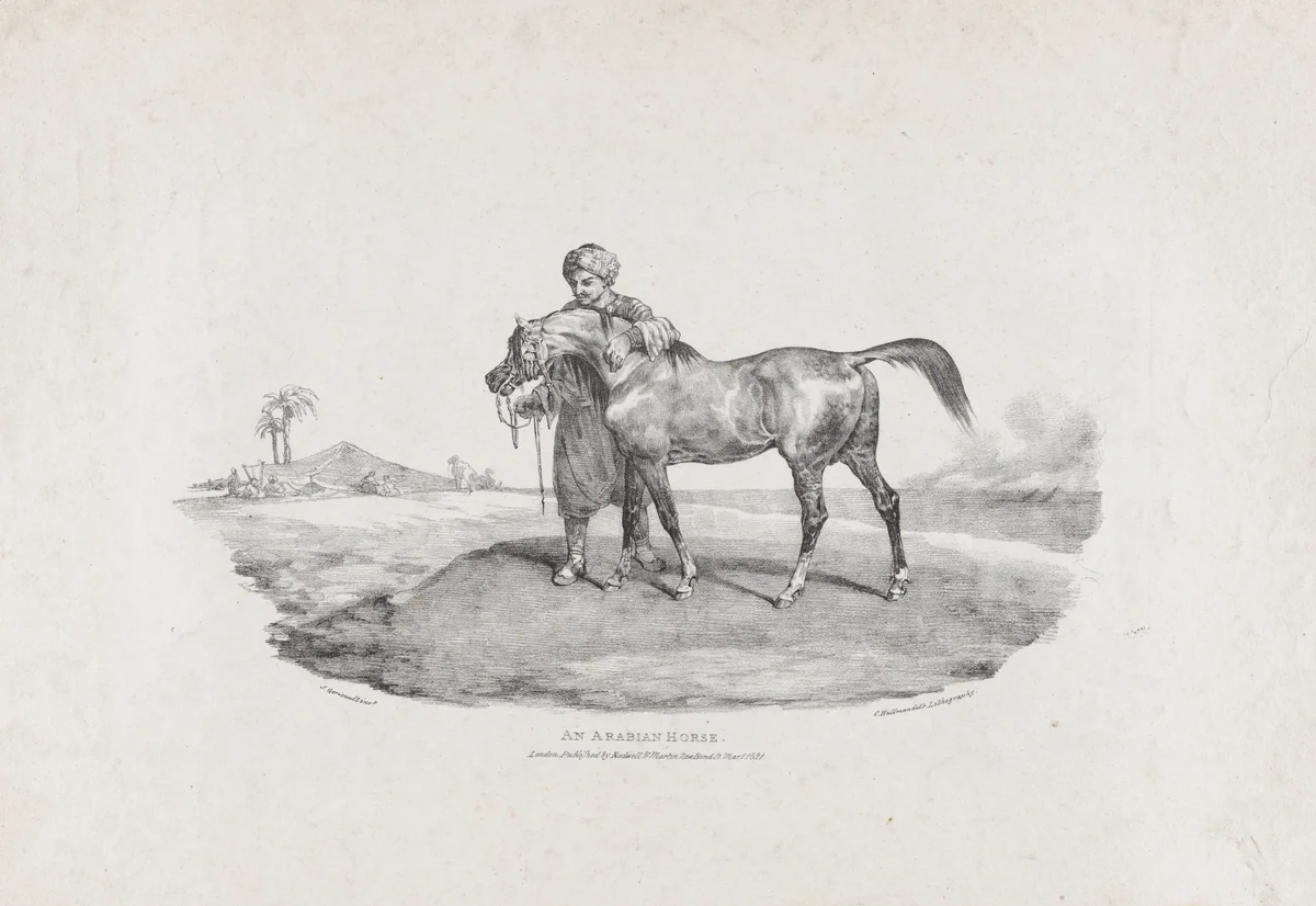 An Arabian Horse by Théodore Gericault, print, 1821