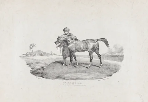 An Arabian Horse by Théodore Gericault, print, 1821
