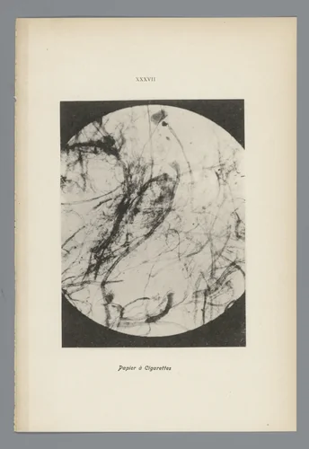 Microfoto’s van papiervezels by anonymous, photograph, 1900