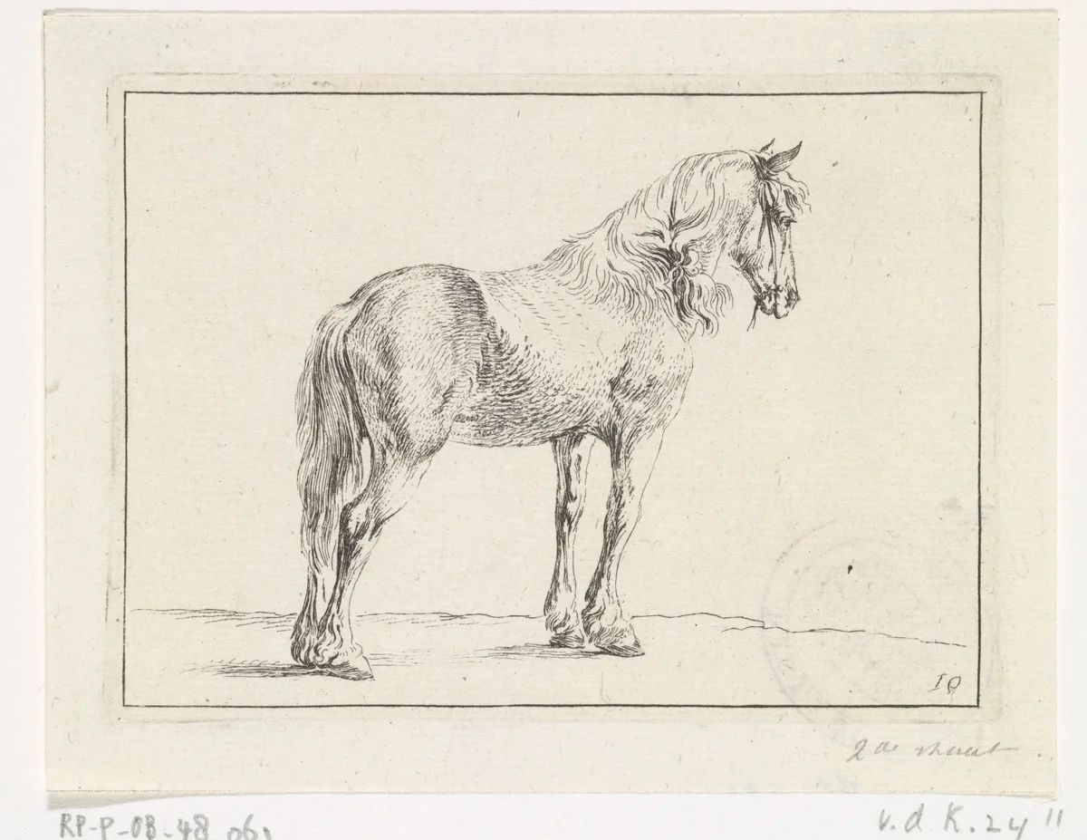Staand paard naar rechts by Dirk Maas, print, 1710-1717