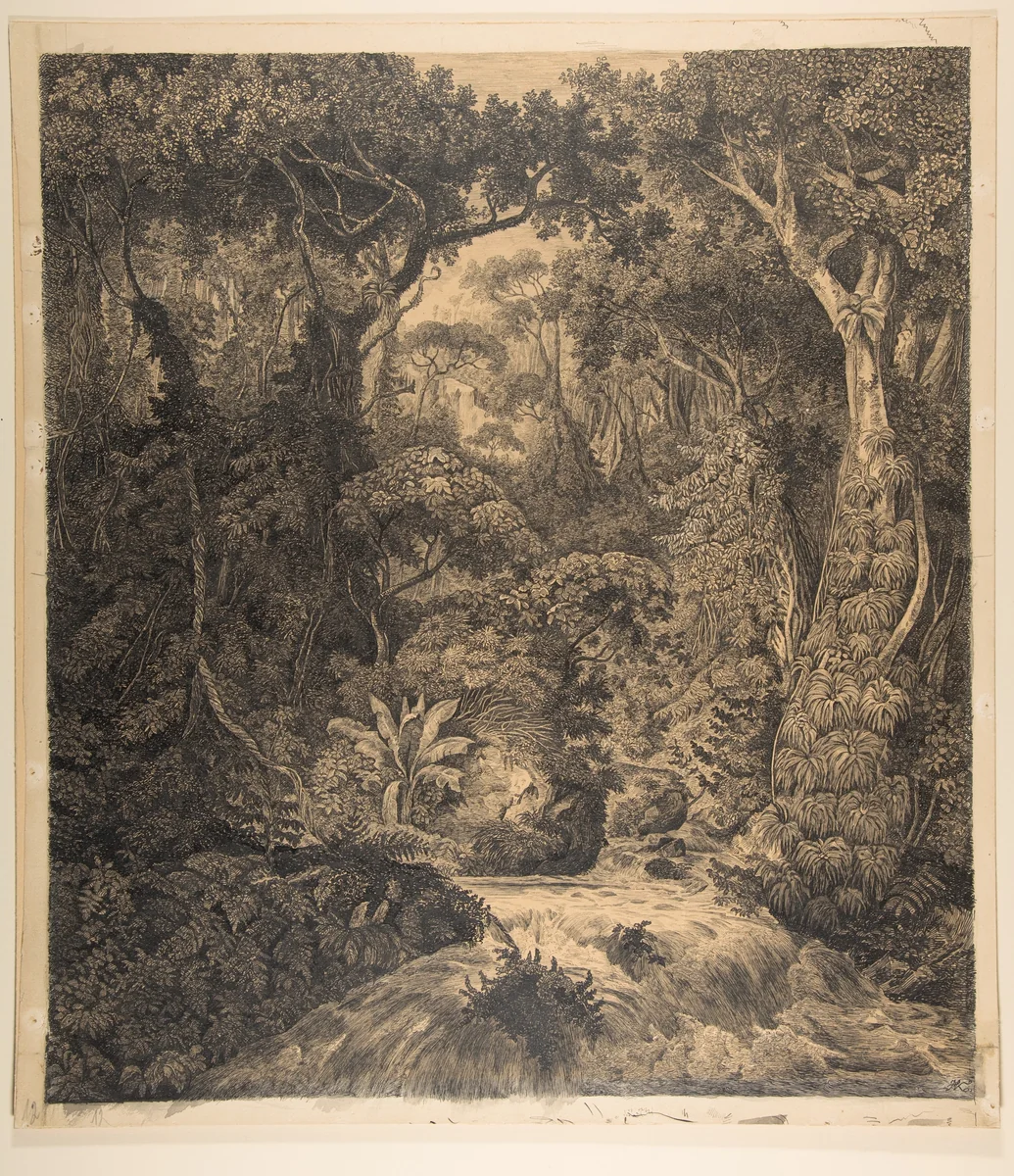 Ceylonese Jungle by Hermann von Königsbrunn, drawing, 1851-1865
