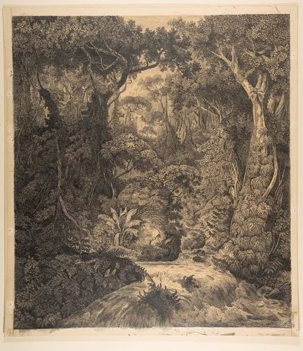 Ceylonese Jungle by Hermann von Königsbrunn, drawing, 1851-1865