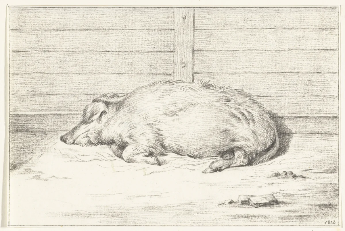 Liggend varken, naar links, tegen een beschutting by Jean Bernard, drawing, 1812