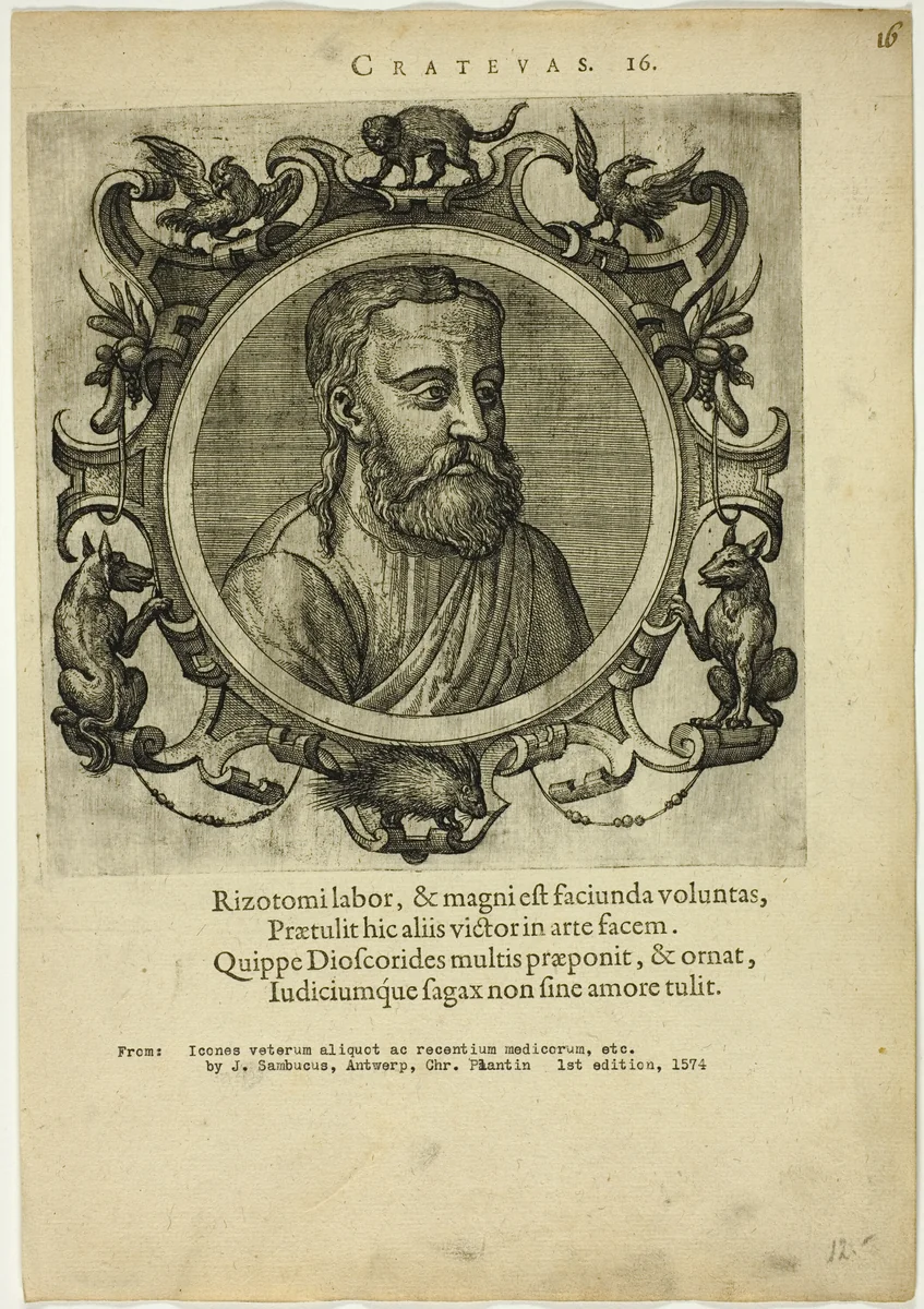 Portrait of Crateuas by Unknown Artist, print, 1574