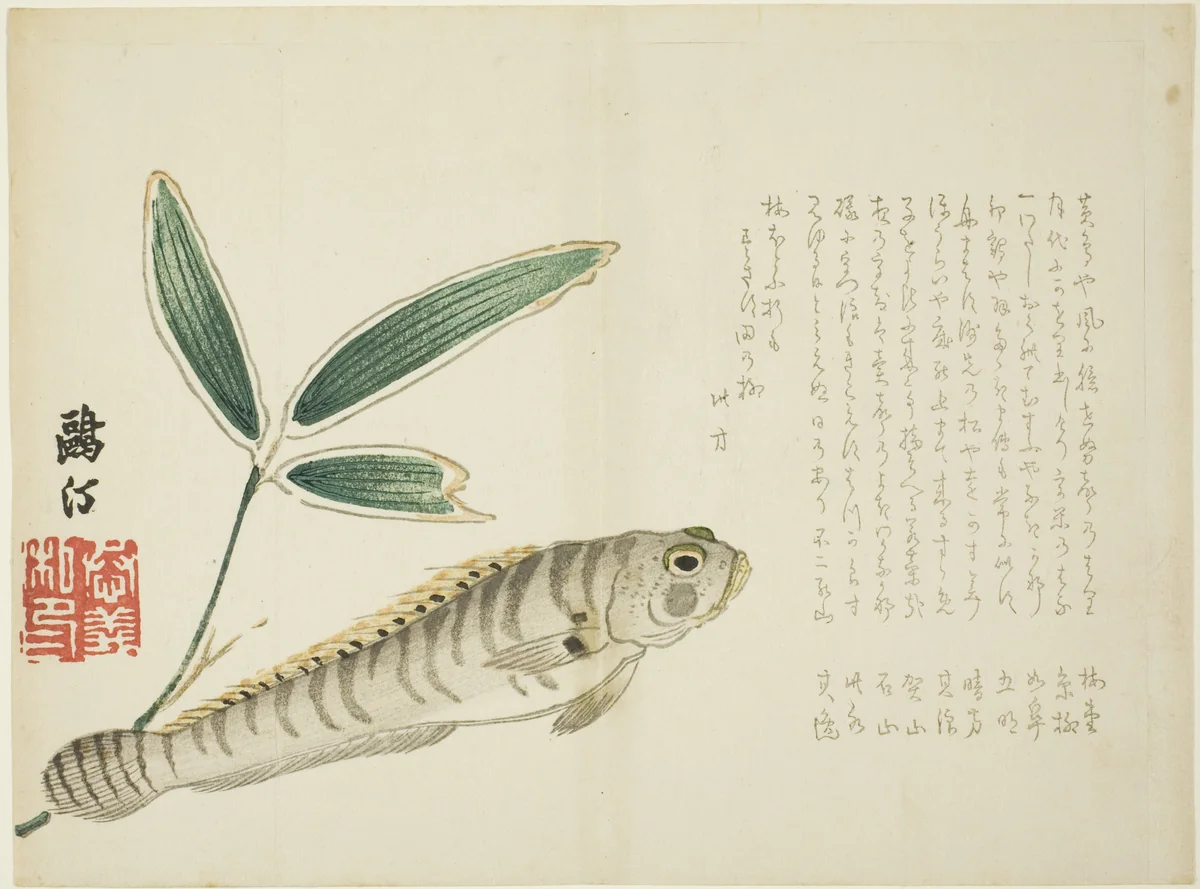 Fish and Bamboo by Maezawa Otei, print, 1860-1869