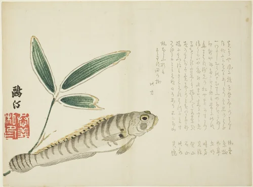 Fish and Bamboo by Maezawa Otei, print, 1860-1869