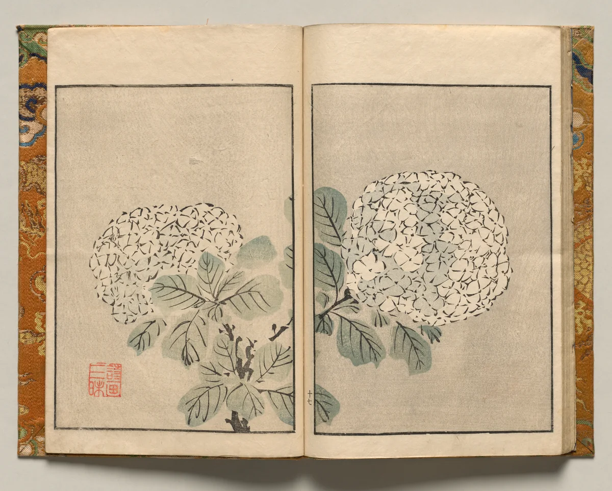 Hydrangea, Design Seventeen from Shazanrō Picture Book by Tani Bunchō (谷文晁), book, 1816