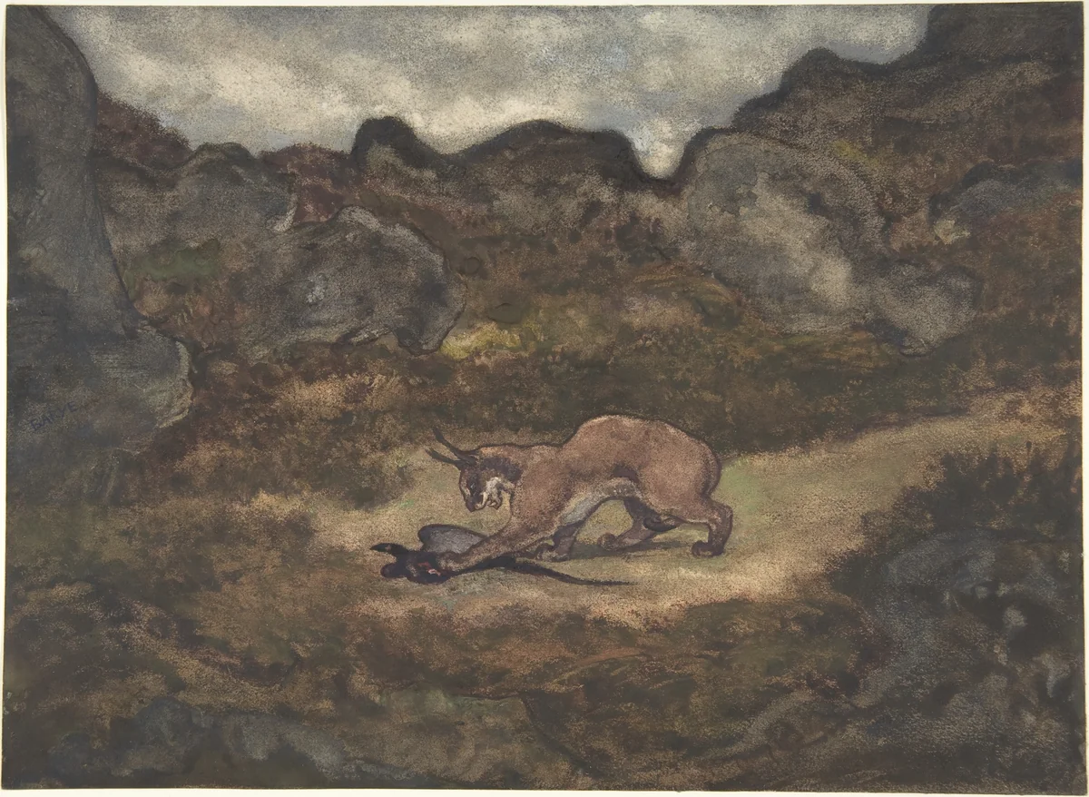 Caracal and Pheasant by Antoine-Louis Barye, drawing, 1810-1875