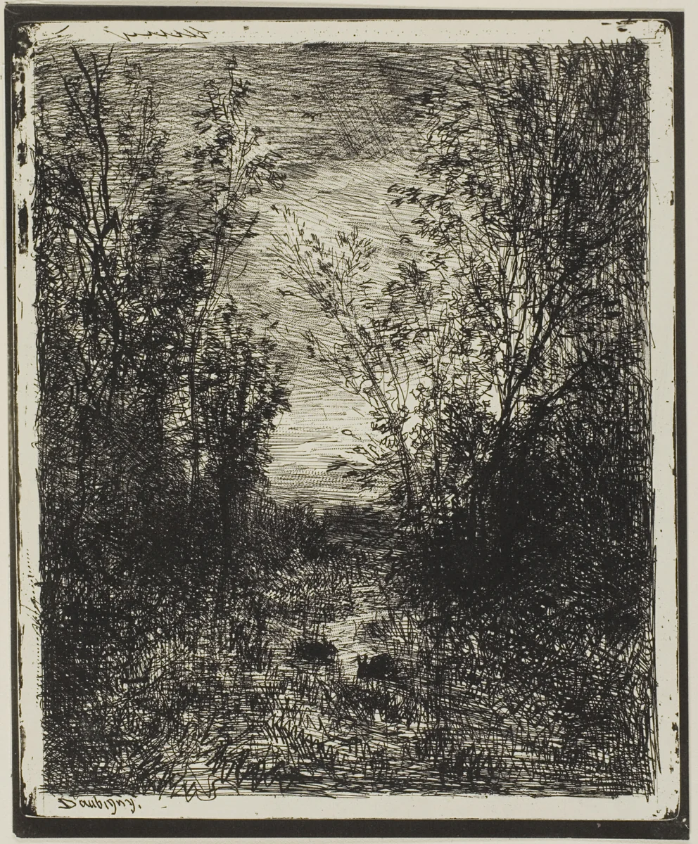 Brook in the Clearing by Charles-François Daubigny, print, 1862