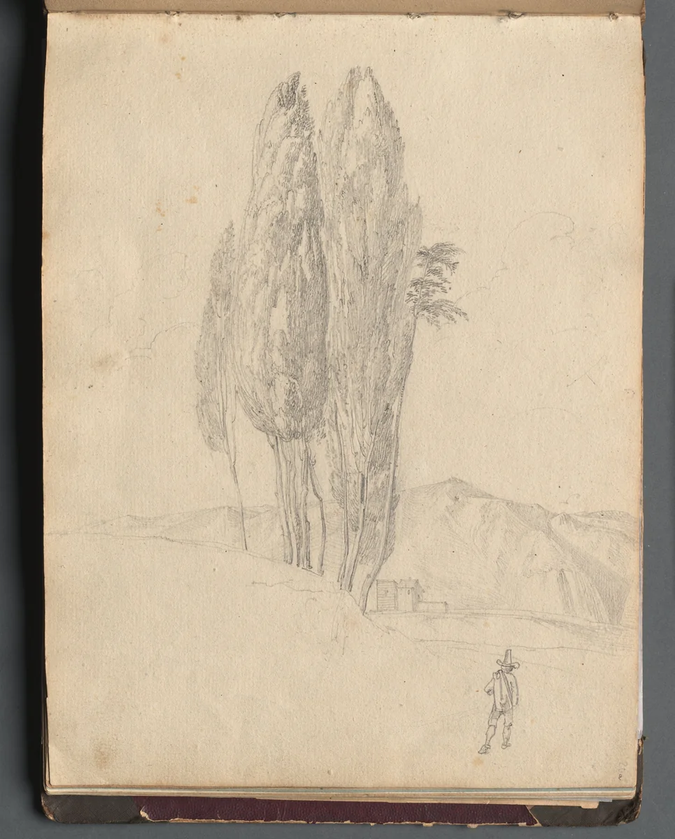 Album with Views of Rome and Surroundings, Landscape Studies, page 20a: Trees by Franz Nadorp, book, 1830-1870