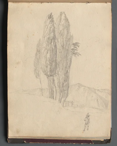 Album with Views of Rome and Surroundings, Landscape Studies, page 20a: Trees by Franz Nadorp, book, 1830-1870