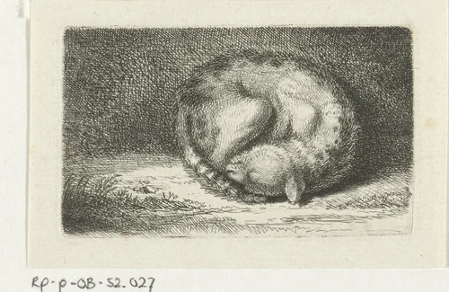 Slapende kat by Jacob Folkema, print, 1702-1767