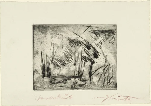 Garden Gate (Gartenpforte) by Lovis Corinth, print, 1922