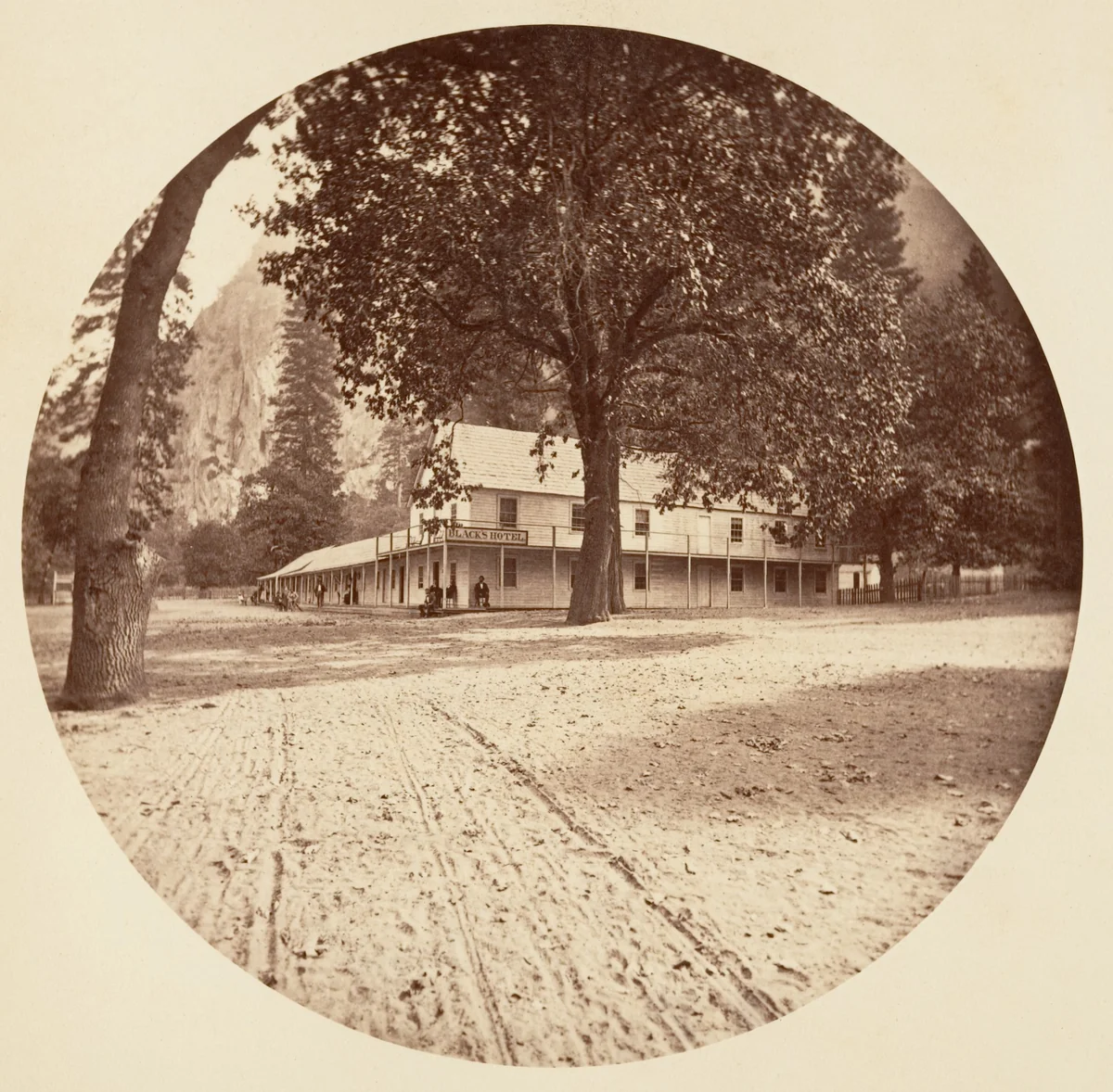 [Yosemite National Park, California] by Carleton E. Watkins, photograph, 1876-1880