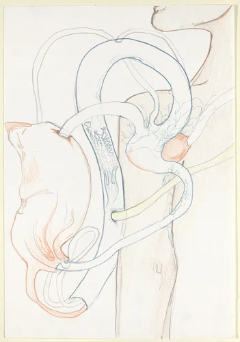 Armpiece for Creature by Janaína Tschäpe, drawing, 2002