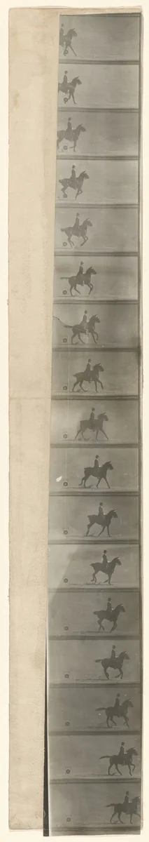 Untitled by Étienne-Jules Marey, photograph, 1893