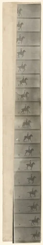 Untitled by Étienne-Jules Marey, photograph, 1893