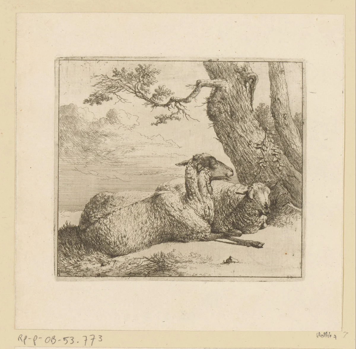 Twee liggende schapen bij stronk van een boom by Johann Heinrich Roos, print, 1671
