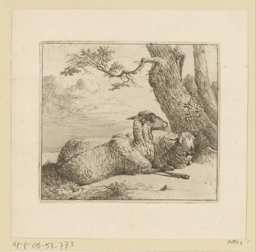 Twee liggende schapen bij stronk van een boom by Johann Heinrich Roos, print, 1671