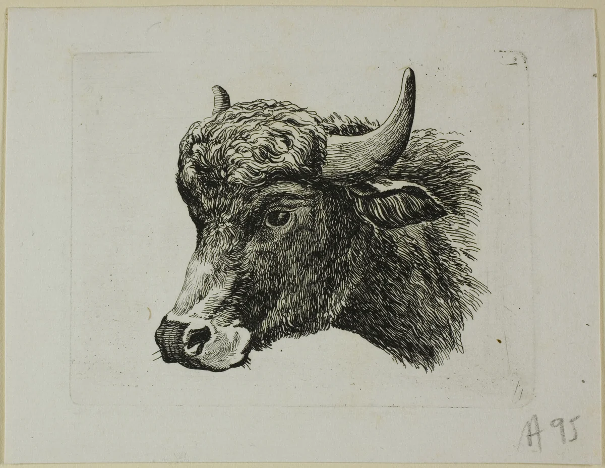 Buffalo Head Facing Left, from Die Zweite Thierfolge by Johann Christian Reinhart, print, 1799-1803