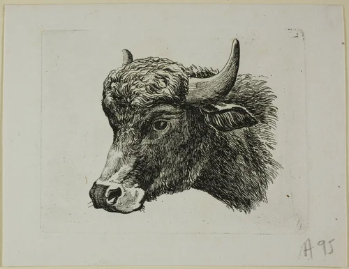 Buffalo Head Facing Left, from Die Zweite Thierfolge by Johann Christian Reinhart, print, 1799-1803