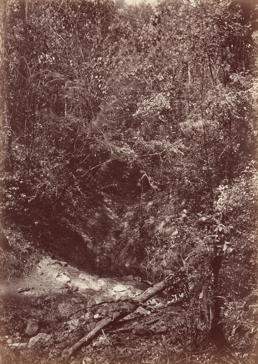 Darien Expedition by John Moran, photograph, 1871