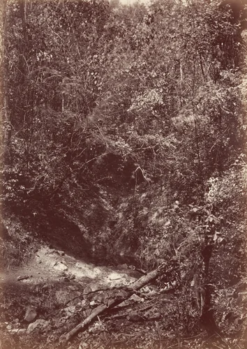 Darien Expedition by John Moran, photograph, 1871