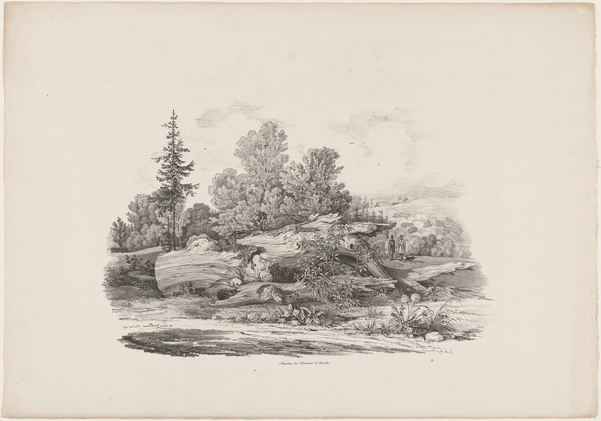 Forest Clearing with an Oak Trunk by Carl August Lebschée; Johannes M. von Hermann, print, 1829