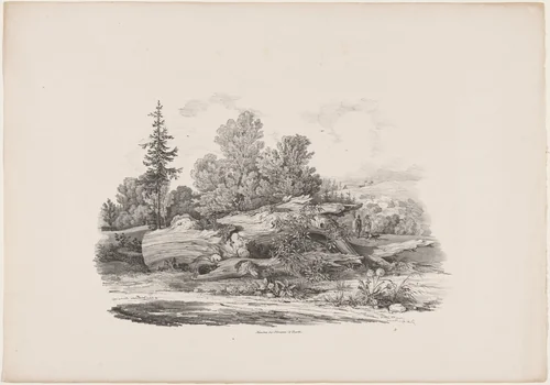 Forest Clearing with an Oak Trunk by Carl August Lebschée; Johannes M. von Hermann, print, 1829