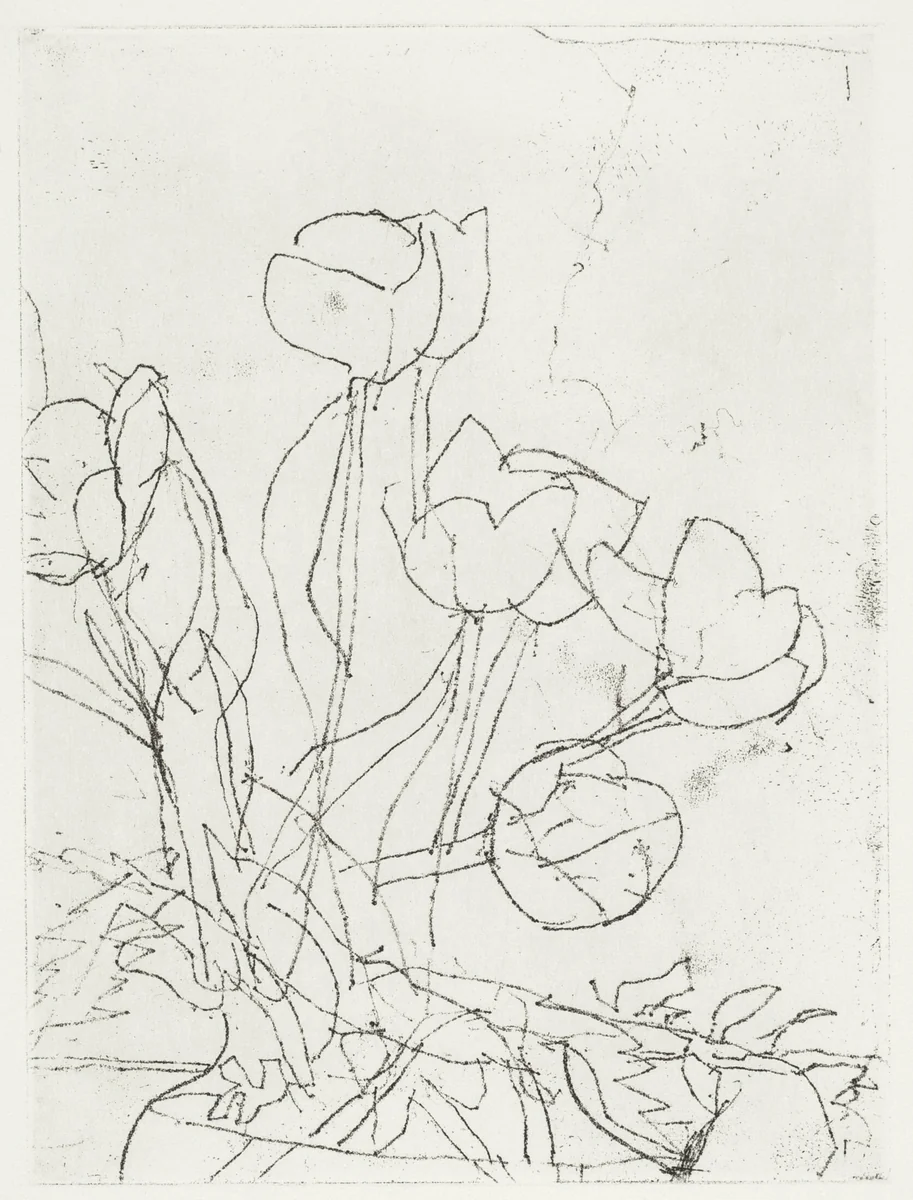 Tulips by Richard Diebenkorn, print, 1989