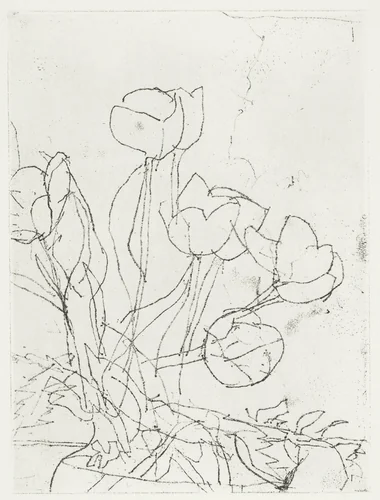 Tulips by Richard Diebenkorn, print, 1989