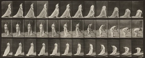 Plate Number 56. Walking, turning and stooping to lift train by Eadweard Muybridge, photograph, 1887