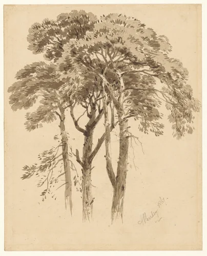 Studie van drie dennen by Aaron Penley, drawing, 1867