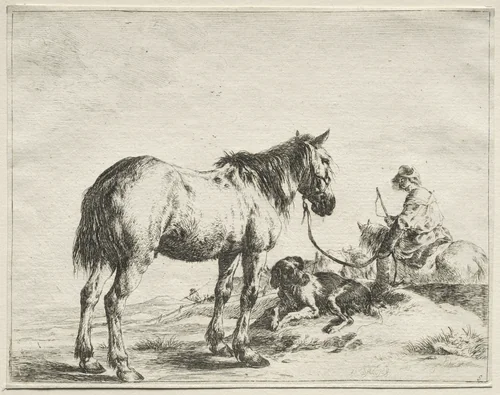 A Horse Fastened to a Stake by Dirck Stoop, print