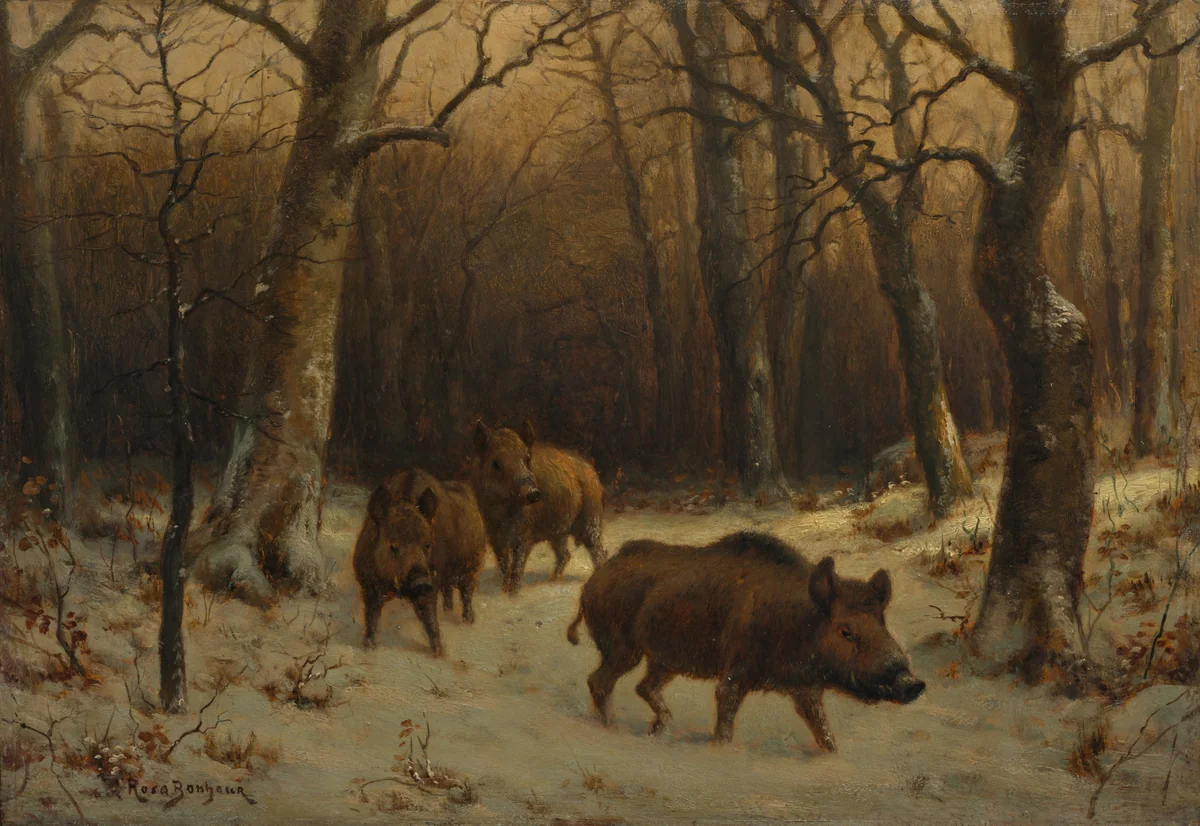 Wild Boars in the Snow by Rosa Bonheur, painting, 1872-1877