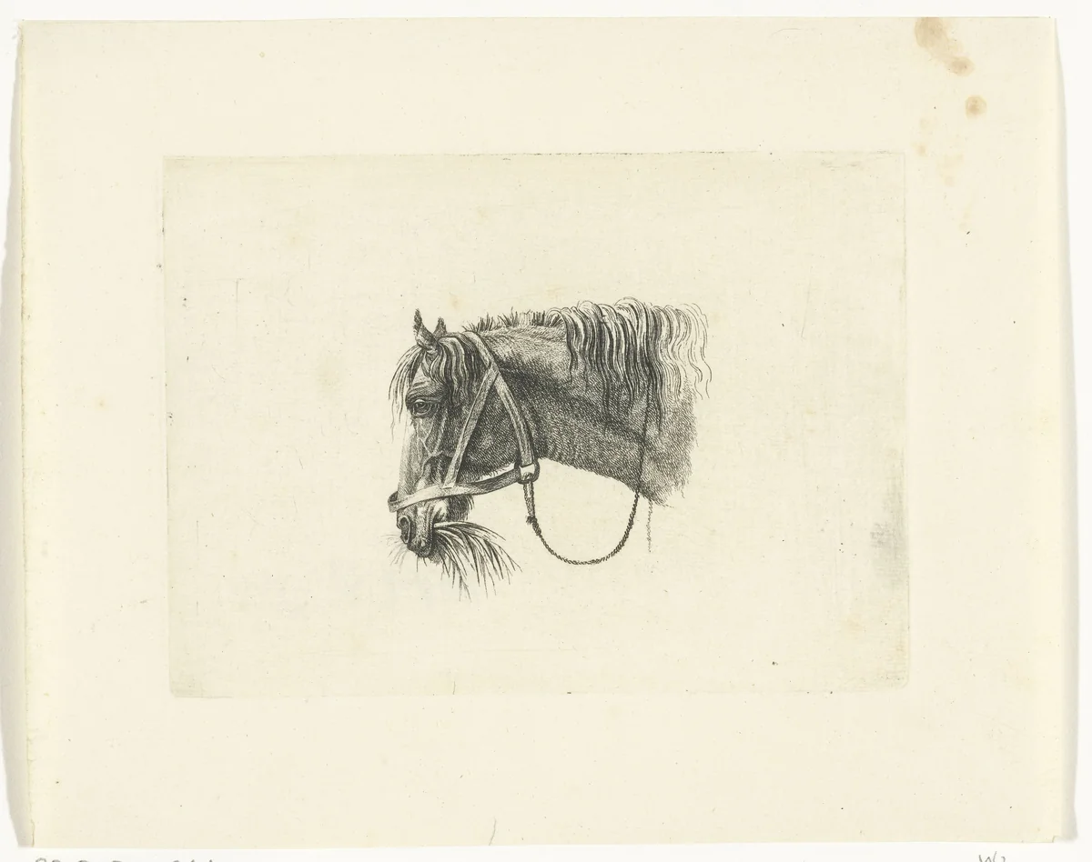 Paardenhoofd met stro in de bek, naar links by Joannes Bemme, print, 1801