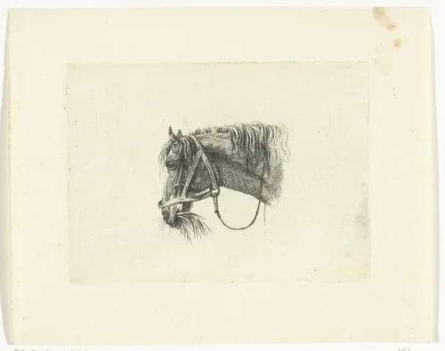 Paardenhoofd met stro in de bek, naar links by Joannes Bemme, print, 1801