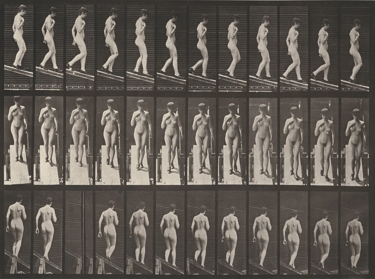 Plate Number 119. Descending an incline with right hand on breast by Eadweard Muybridge, photograph, 1887