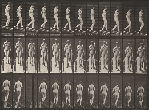 Plate Number 119. Descending an incline with right hand on breast by Eadweard Muybridge, photograph, 1887