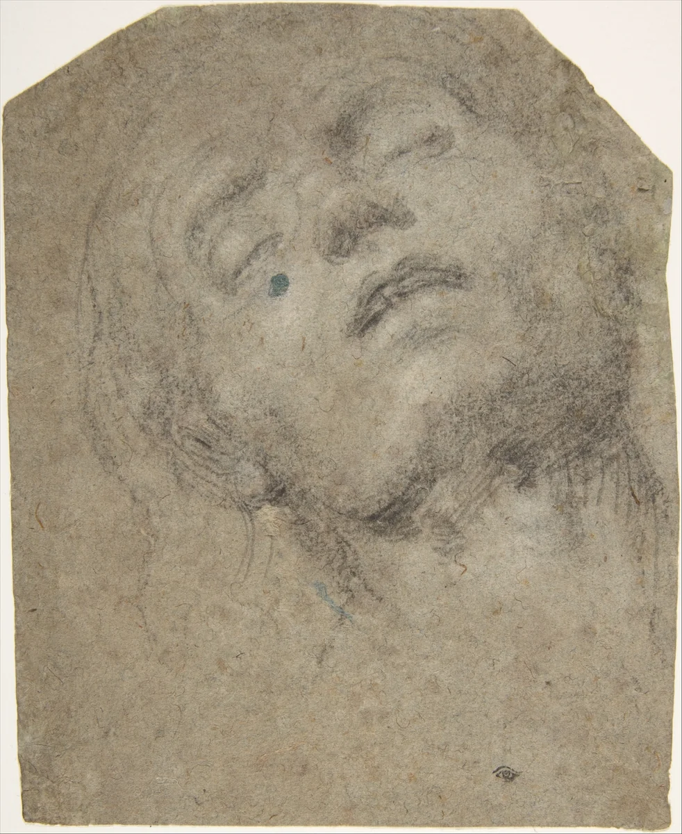 Study of a Head by Giovanni Gerolamo Savoldo, drawing, 1503-1513