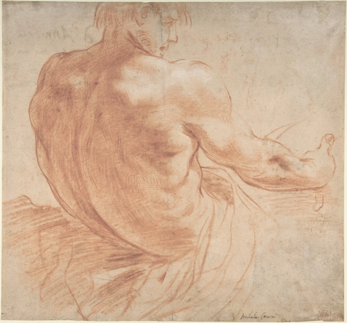 Seated Youth Facing Right, Seen from the Back by Annibale Carracci, drawing, 1560-1609