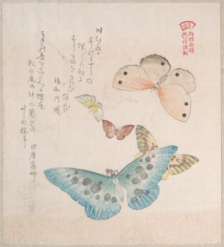 Various Moths and Butterflies by Kubo Shunman (窪俊満), print, 1800-1899